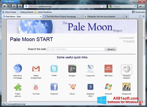 스크린 샷 Pale Moon Windows 8.1