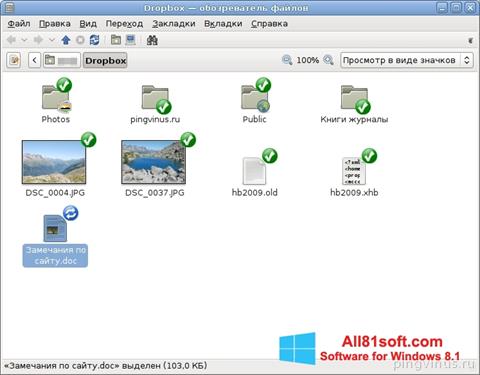 스크린 샷 Dropbox Windows 8.1