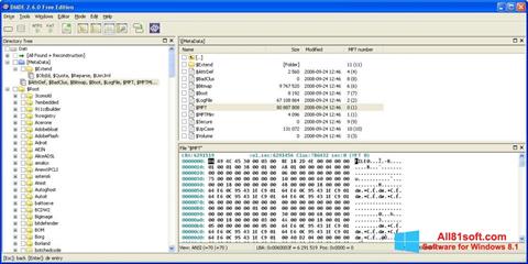 스크린 샷 DMDE Windows 8.1