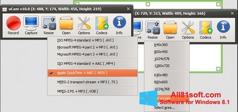 스크린 샷 oCam Screen Recorder Windows 8.1