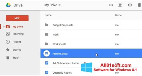 instal the last version for windows Google Drive 76.0.3