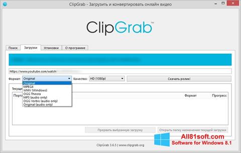 스크린 샷 ClipGrab Windows 8.1