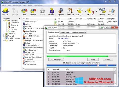 스크린 샷 Internet Download Manager Windows 8.1