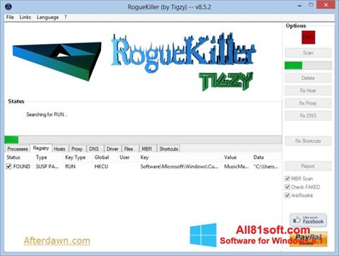 스크린 샷 RogueKiller Windows 8.1