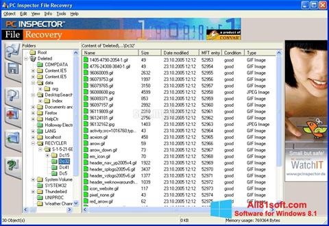 스크린 샷 PC Inspector File Recovery Windows 8.1
