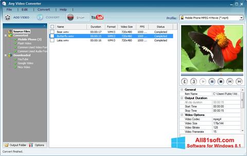 스크린 샷 Any Video Converter Windows 8.1
