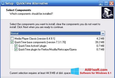 스크린 샷 QuickTime Alternative Windows 8.1
