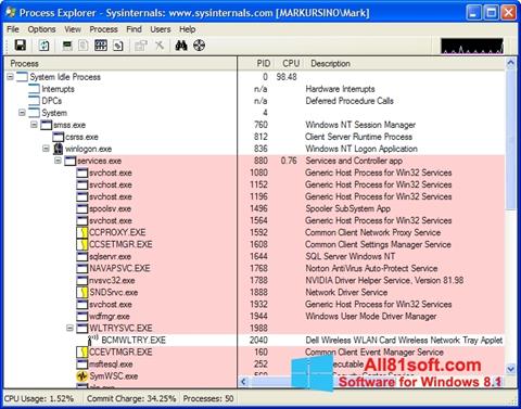 스크린 샷 Process Explorer Windows 8.1