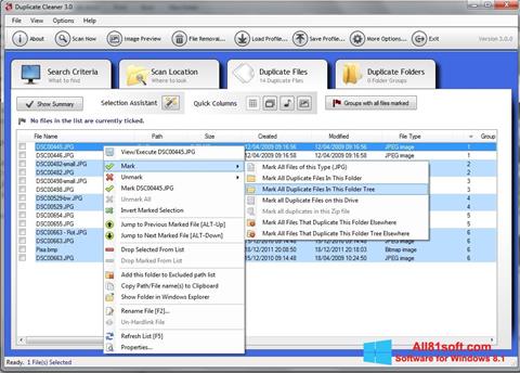 스크린 샷 Duplicate Cleaner Windows 8.1