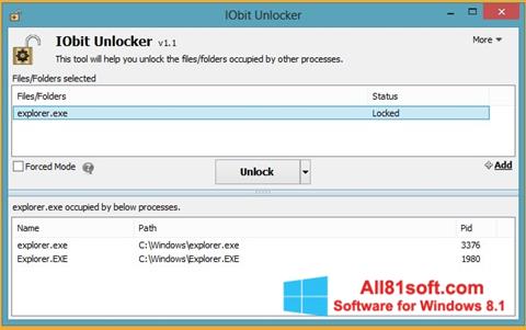 스크린 샷 IObit Unlocker Windows 8.1
