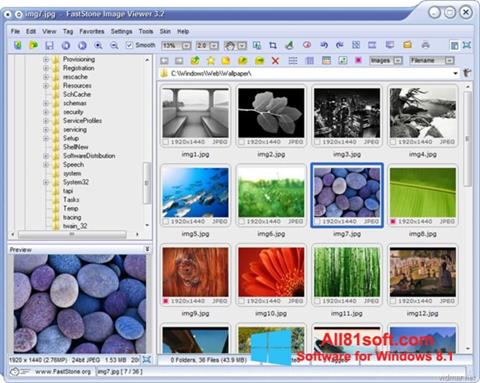 스크린 샷 FastStone Image Viewer Windows 8.1
