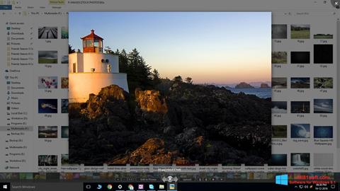 스크린 샷 Picasa Photo Viewer Windows 8.1